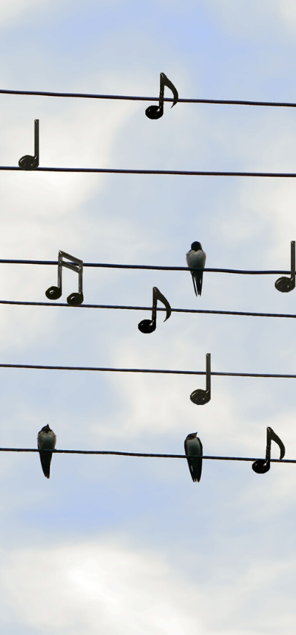 Cosa Facciamo Oggi? Cantiamo una canzone!
