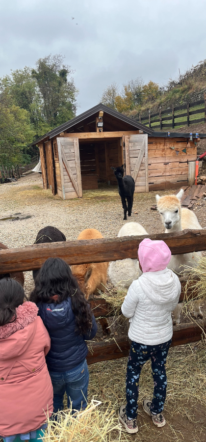 Dalle fattorie al cucito: un viaggio di relazioni e nuove competenze