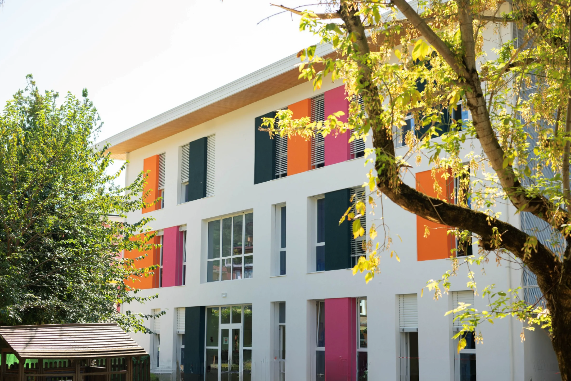 Hai visto quanto è cresciuta?