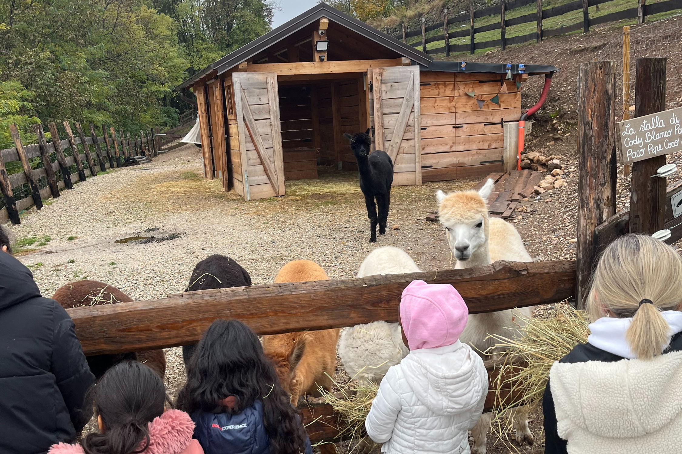 Dalle fattorie al cucito: un viaggio di relazioni e nuove competenze